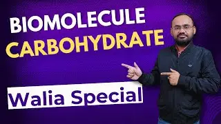 biomolecules jee one shot || biomolecules jee mains || jee mains 2025 || jee mains 2025 revision