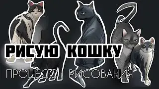 Рисую кошку. Процесс Рисования.  Не туториал.
