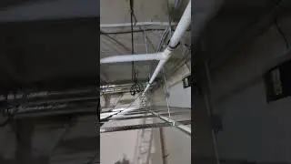 Работа. Не волк?