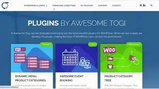 Web Design for a Woocommerce shop with custom product page!