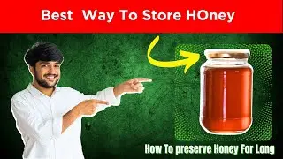Best Way to Store Honey I Simple Easy I