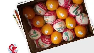 Nival & Valencia Orange has already started and ready to be exported