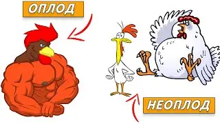 СЕКРЕТЫ ВЕТВРАЧА. Повышение оплодотворенности куриных яиц, чем вызван 
