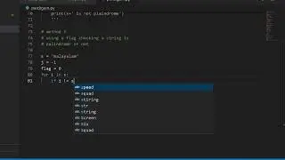 Python program to check a string is palindrome or not by using flag check method 