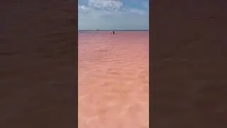 розовое озеро буосоль
