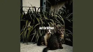 Festive Music for Feelings