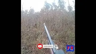 Best Funny Fails 2022 | Fail Out