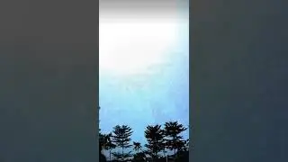 Шарик