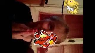 Les nouveaux montages
