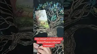 #таро #тарологонлайн #любовь #таролог #отношения #гадание #королевамечей
