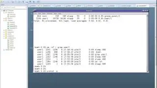 Solaris 10 Process Control