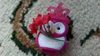 Дом Из Дженги