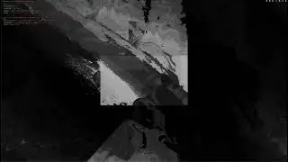 Hydra_exp2