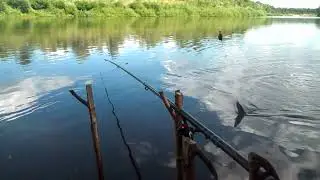 Щучка на апарыш