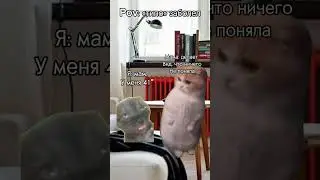 Подпишись❤️тг:attrowka,там все футажи 