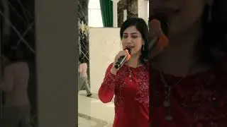 ЖОНЛИ ИЖРОГА БАХО БЕРИНГ