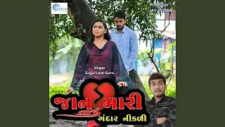 Jaanu Mari Gaddar Nikdi