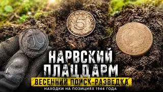 Весенняя разведка на позициях | Находки на старом фундаменте | НАРВСКИЙ ПЛАЦДАРМ 1944  