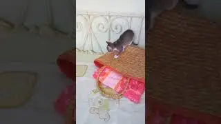 Ку-ку, мой мальчик!