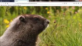 How To Create Video On Website