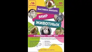 Выставка 