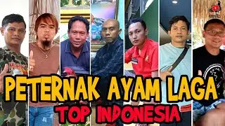 TOP 7 Most Renowned Gamefowl Farms in Indonesia