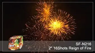SKYSONG FIREWORKS | SF-N216 2