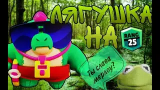 Апнул кермита ой Базза на 25  ранг