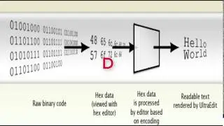 Encoding and Decoding (Intro) (1)