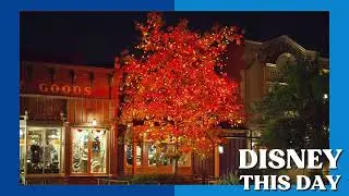 Halloween Tree | DISNEY THIS DAY | October 31, 2007