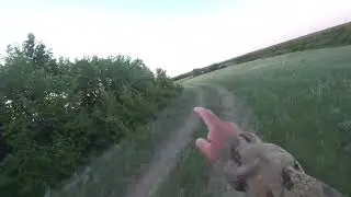 Прогулка с гончими