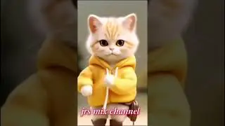 #mariaclara #music #dance #cutecat #dancingcat #tingnanmonamanako