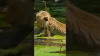 Sakin Bir Yaşam...