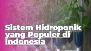 8 Hydroponic Systems 