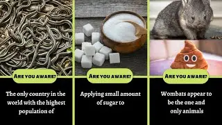 20 Facts You Didn't Know 5 Minutes Ago| Interesting Random Facts| Funpectationfad