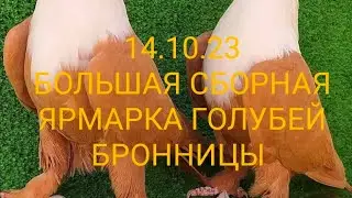 БОЛЬШАЯ СБОРНАЯ ЯРМАРКА ГОЛУБЕЙ. БРОННИЦЫ. ЧАСТЬ 1