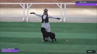 Ларри НТМ победитель Дог Олимпа 2022