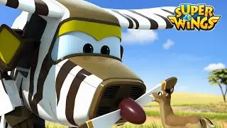 [Superwings1] Race tegen de klok | EP09 | Nieuwe Afleveringen Tekenfilm | superwings Nederlands