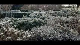 The Frozen  Nature | LB