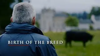 I AM ANGUS: Birth of the Breed | Ballindalloch Castle