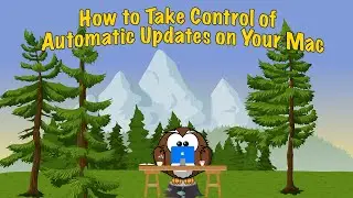 How to Take Control of Automatic Updates on Your Mac