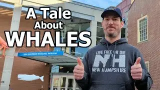 A Tale About WHALES! Whaling history in New Bedford, Massachusetts