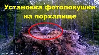 Установка фотоловушки на порхалище! Как праильно ставить. Снял капалуху!