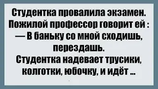 Студентка надевает трусики, колготки, юбочку, и идёт - Смешные анекдоты