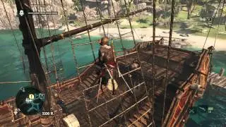 Assassin's Creed Black Flag Glitch