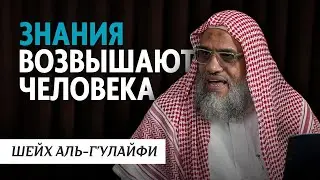 Знания возвышают человека | Шейх Аль-Г'улайфи