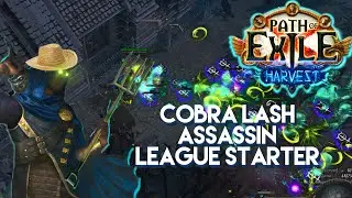 Path of Exile 3.11 - Poison Cobra Lash Assassin League Starter