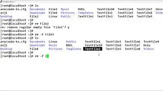 Touch Command in Linux