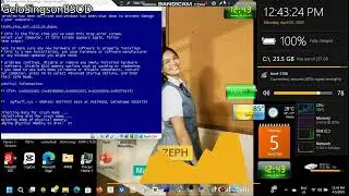 Minesweeper has BSOD VM (Windows Vista)