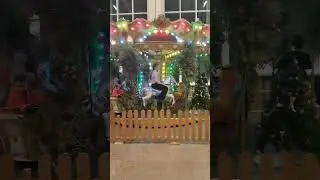 Новогодняя карусель